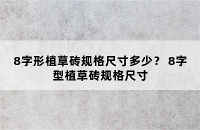 8字形植草砖规格尺寸多少？ 8字型植草砖规格尺寸